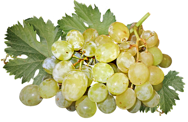 grapes frame
